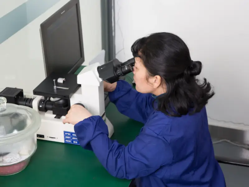 Metallographic testing for stainless steel material